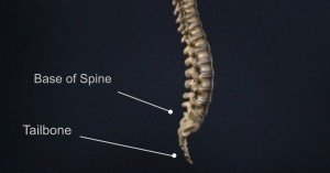 Chordoma Treatment in Orange County by Dr. Robert Louis