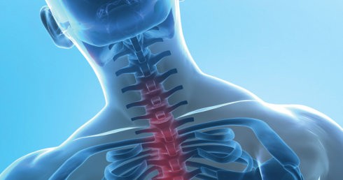 Robert Louis, MD Minimally Invasive Spine Surgery